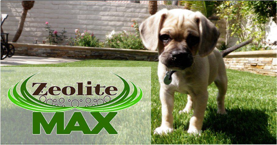 Pet Artificial Grass for homes, dog runs & parks, kennels, Mission Viejo CA