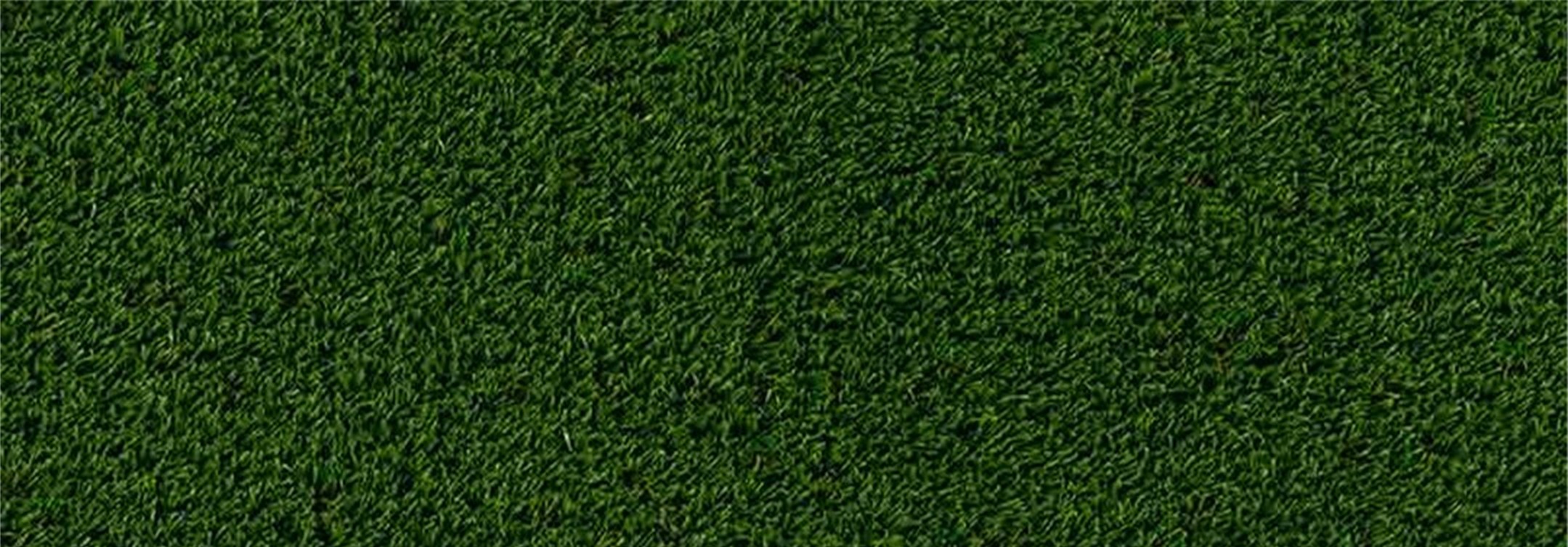 Oakmont Artificial Grass, Mission Viejo Artificial Grass
