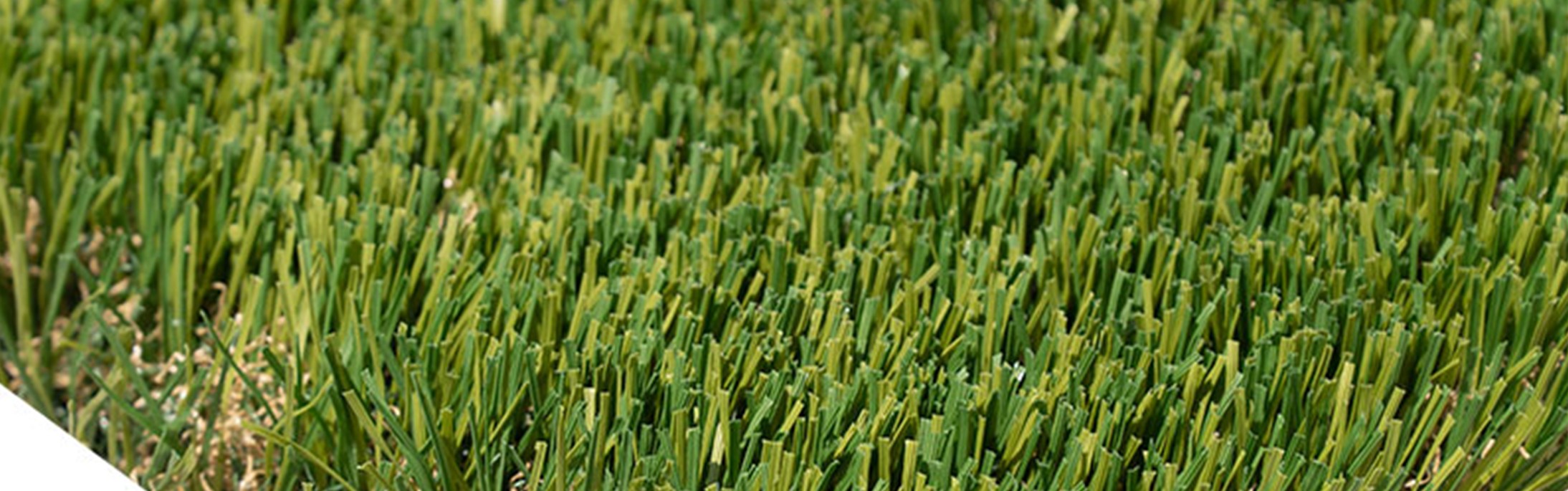 Oakmont Supreme Artificial Grass, Mission Viejo Artificial Grass